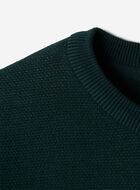 Animal Knit Crew