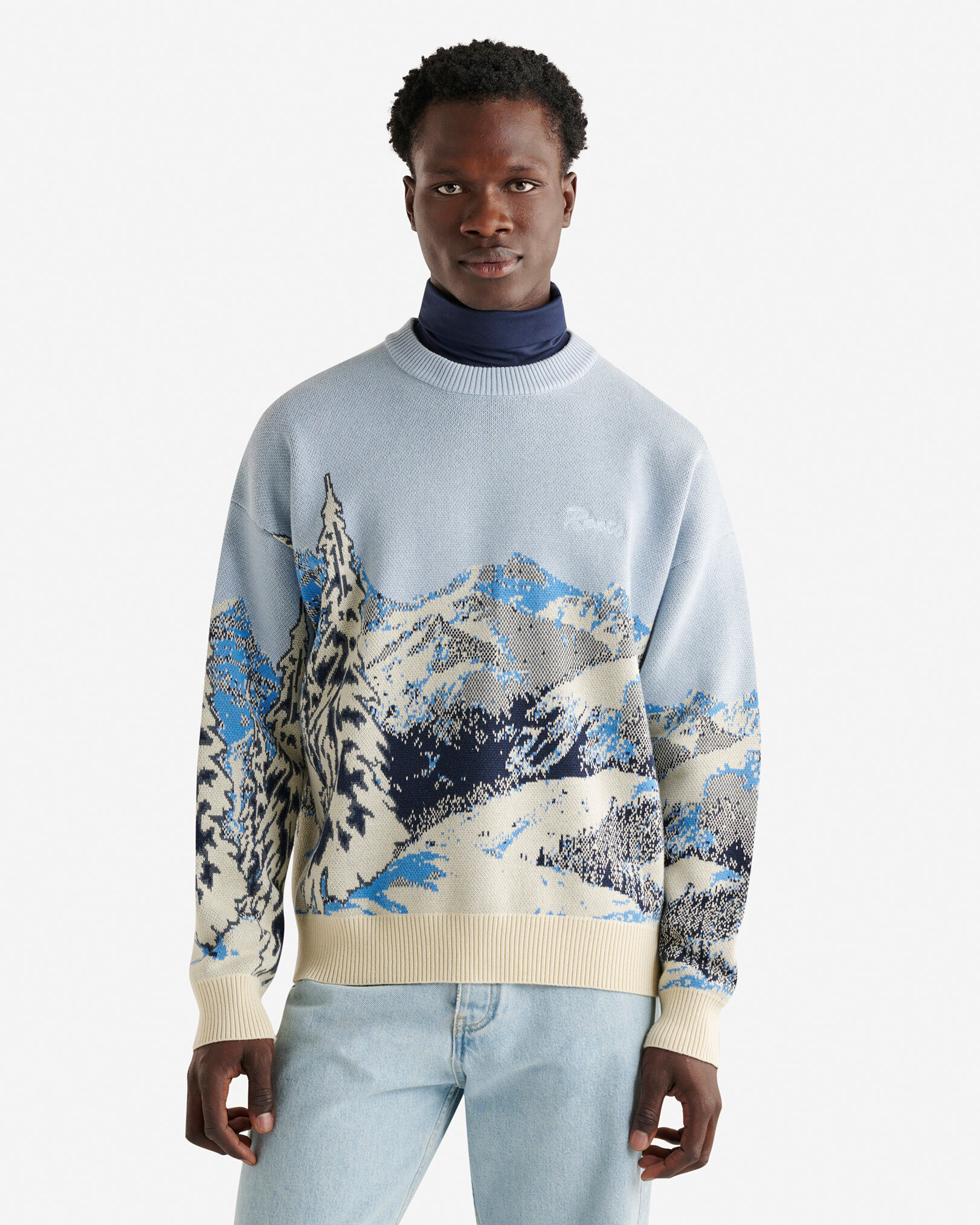 Landscape Intarsia Crew Sweater Sweaters and Cardigans Roots