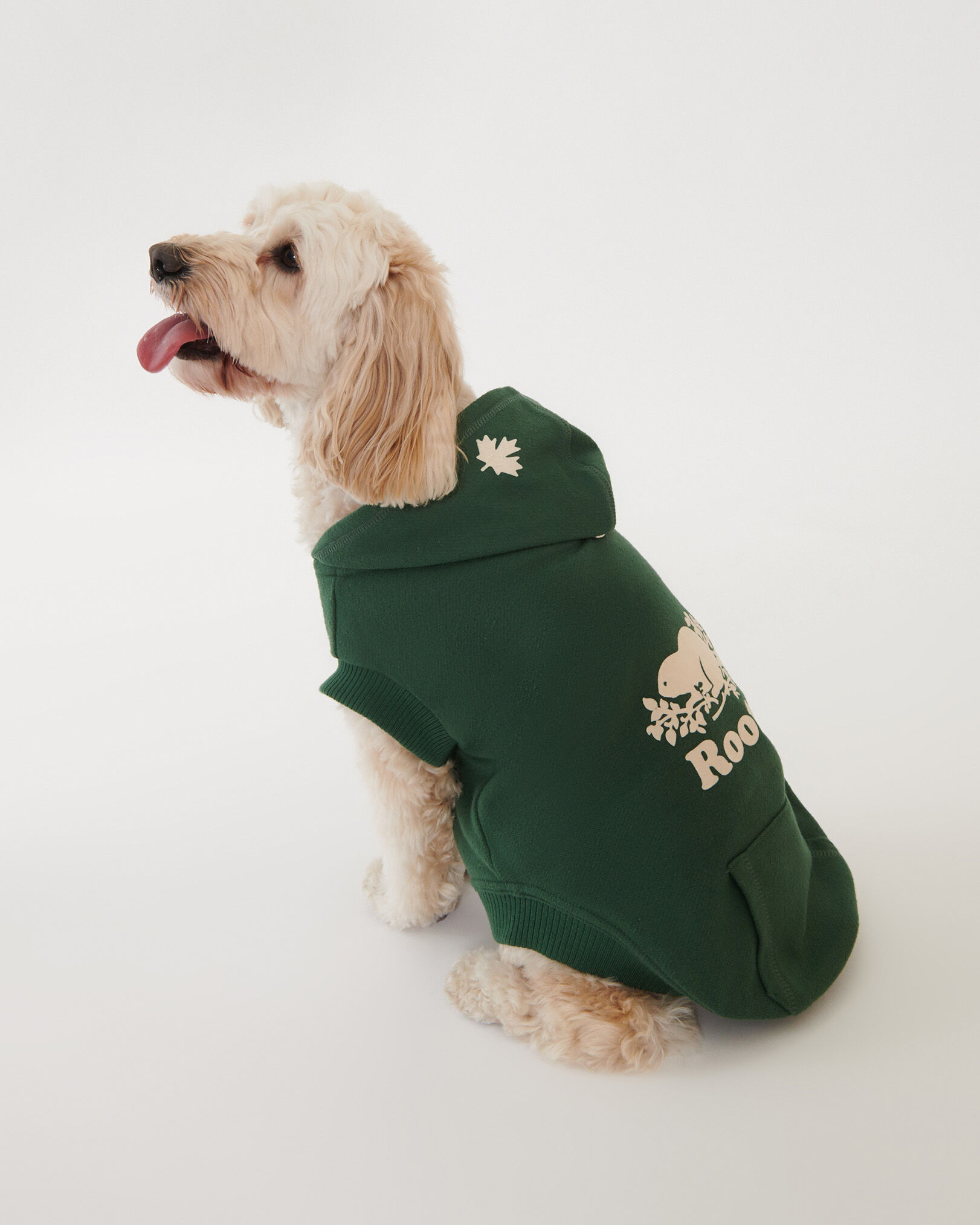 Beaver canoe dog sweater online