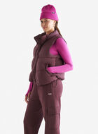 Roots Down Puffer Vest