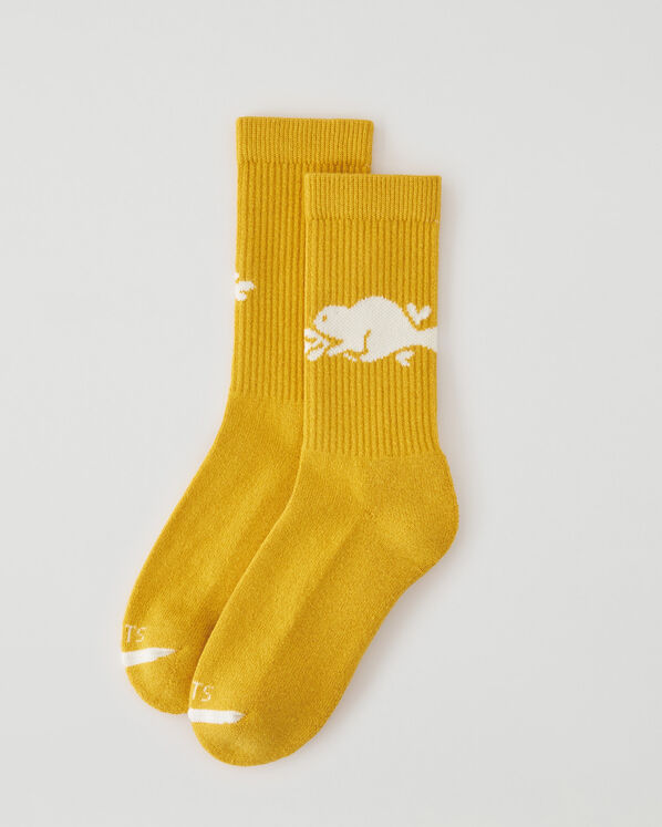 Chaussettes Castor Cooper pour adultes 