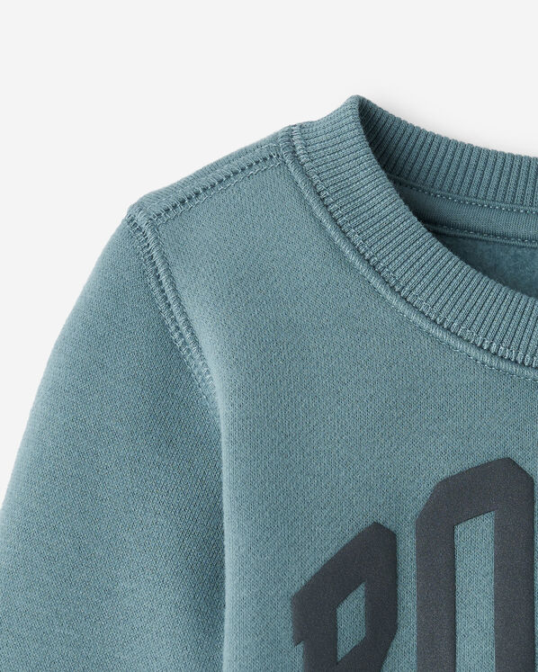 Baby Roots Arch Crew Sweatshirt