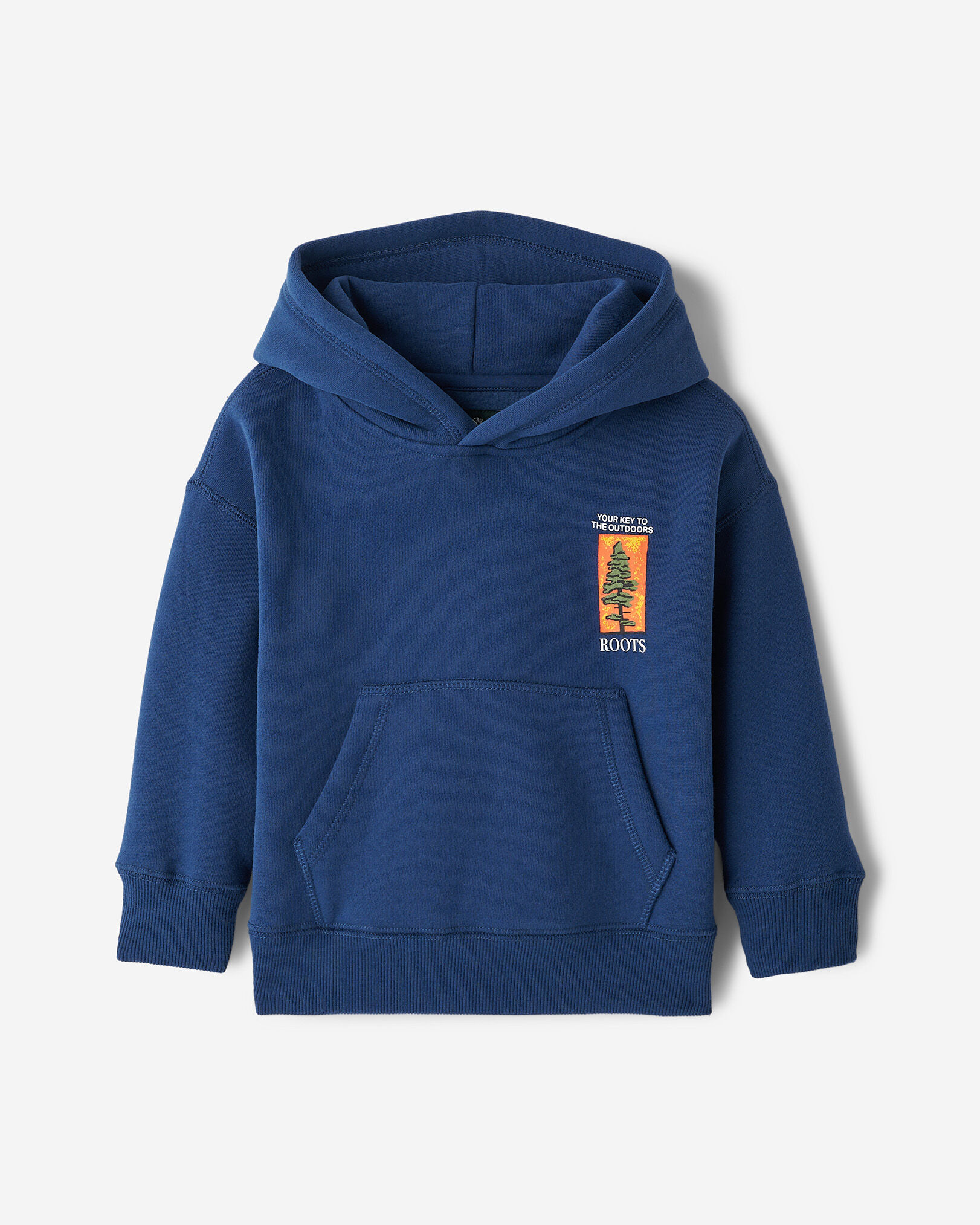 Blue toddler hoodie hot sale
