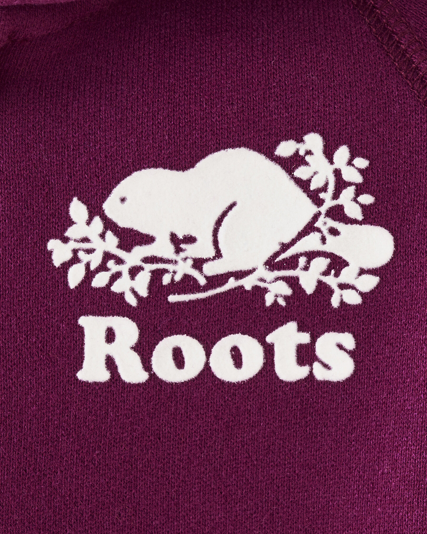 Burgundy roots best sale sweater