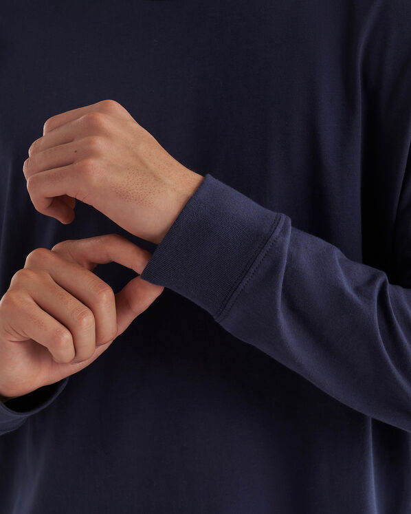 Mens Ski Pass Relaxed Long Sleeve T-Shirt