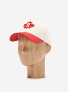 Casquette de baseball Feuille moderne Roots