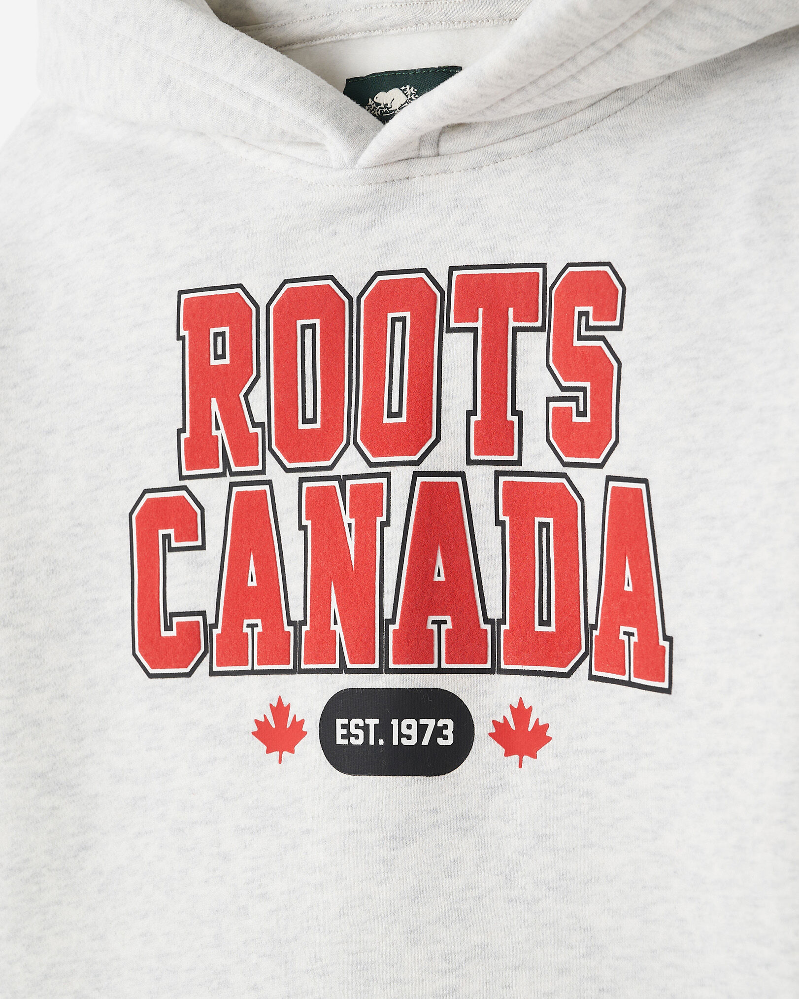 Chandail à capuchon Racines nordiques pour enfants