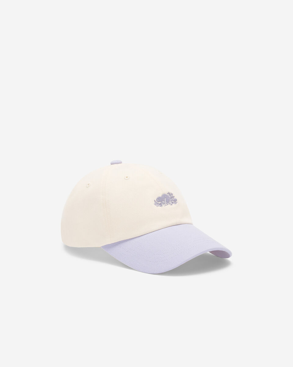 Everyday Cooper Beaver Cap