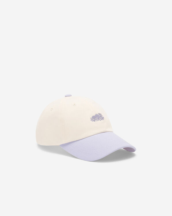 Everyday Cooper Beaver Cap
