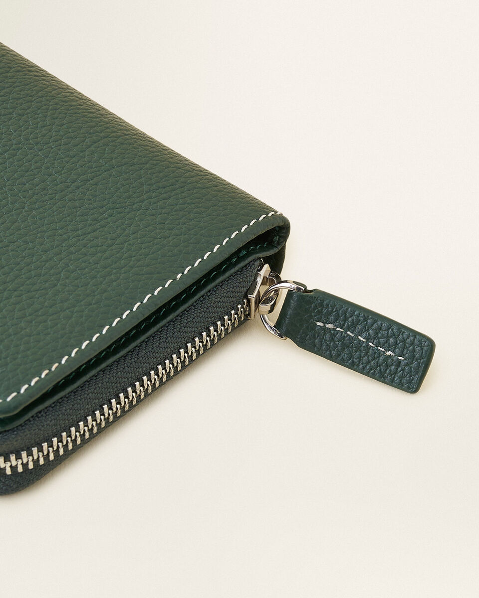 Small Zip Around Clutch Cervino