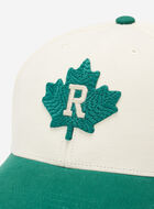 Modern Leaf Roots Baseball Cap