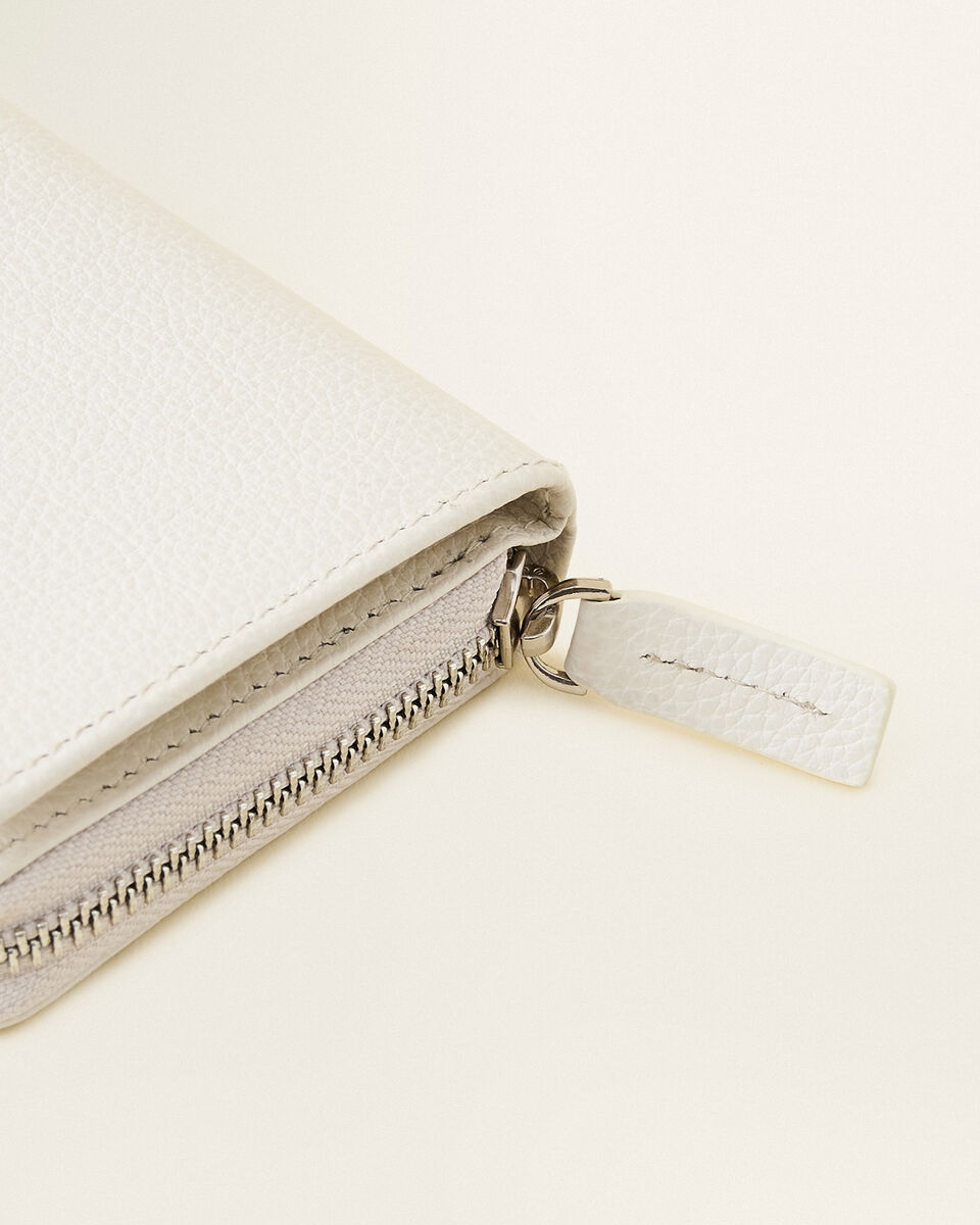 Small Zip Around Clutch Cervino
