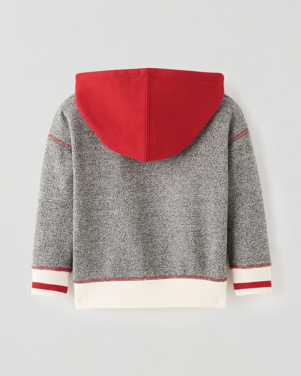 Toddler Relaxed Cabin Full Zip Hoodie