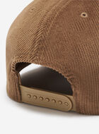 Trailhead Baseball Cap