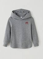 Toddler Hooded Top