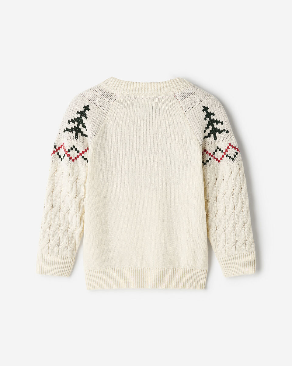 Toddler Holiday Cable Sweater Crew