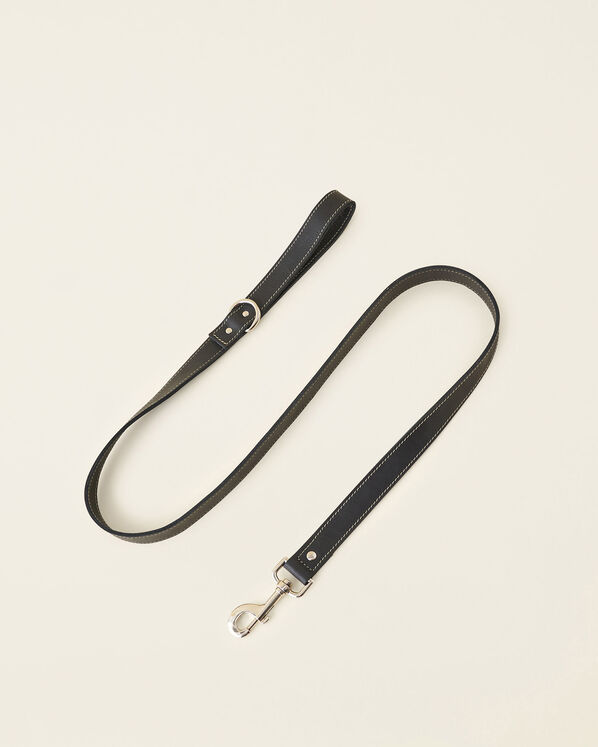 Leather Dog Leash