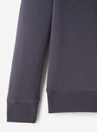 Kids Roots Arch Hoodie