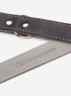 Leather Dog Leash