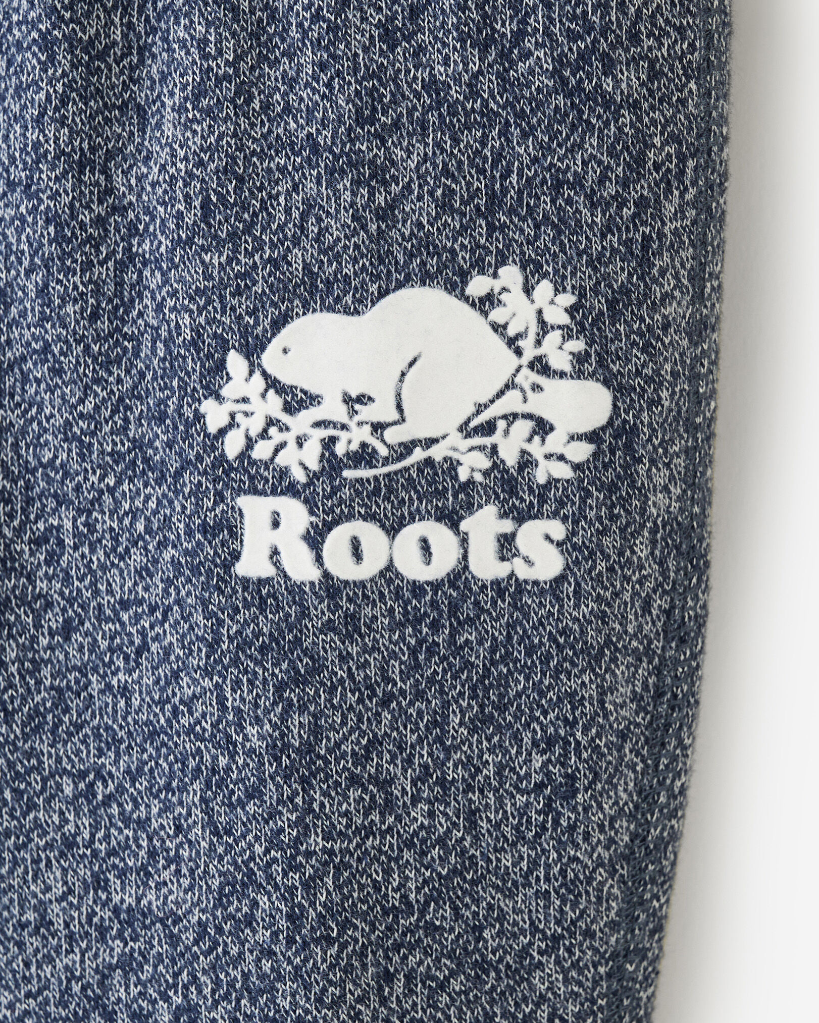 Roots navy discount blazer pepper