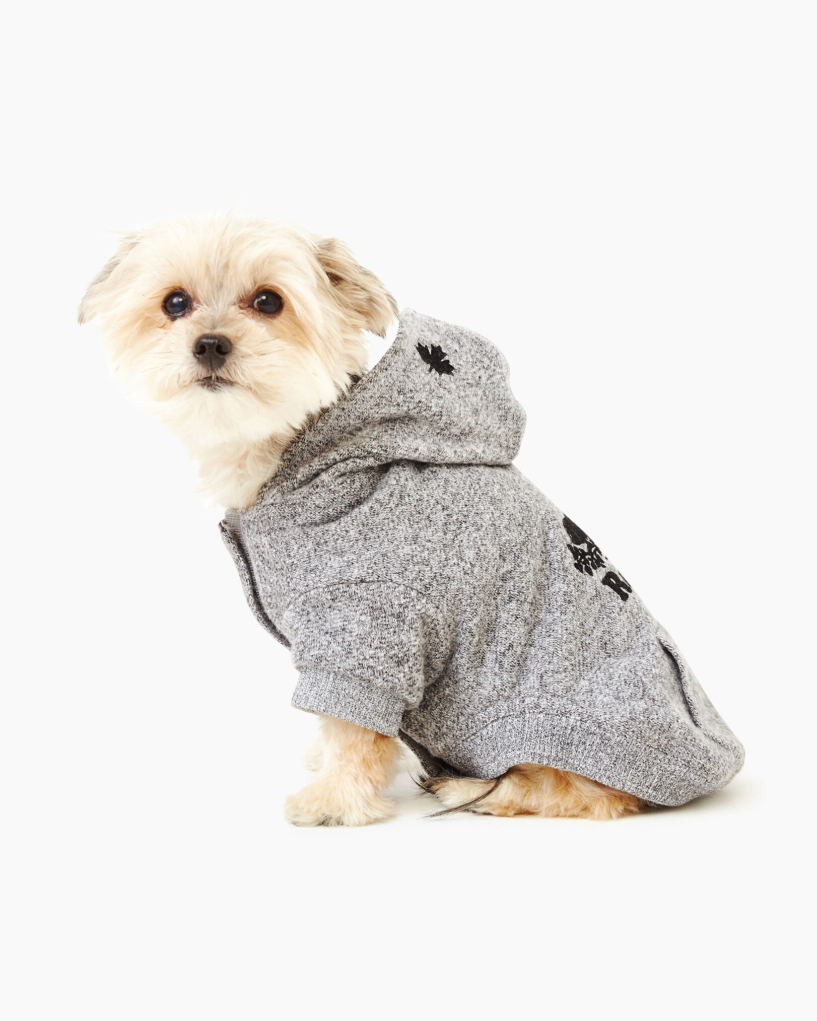 Roots dog sweater hot sale