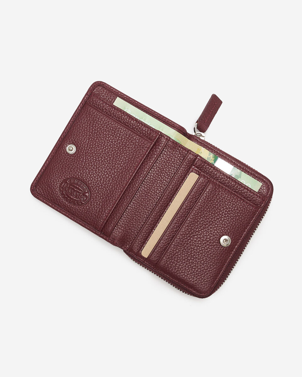 Small Zip Around Clutch Cervino