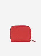 Small Zip Around Clutch Cervino