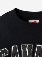 Chandail &agrave; col rond Racines nordiques