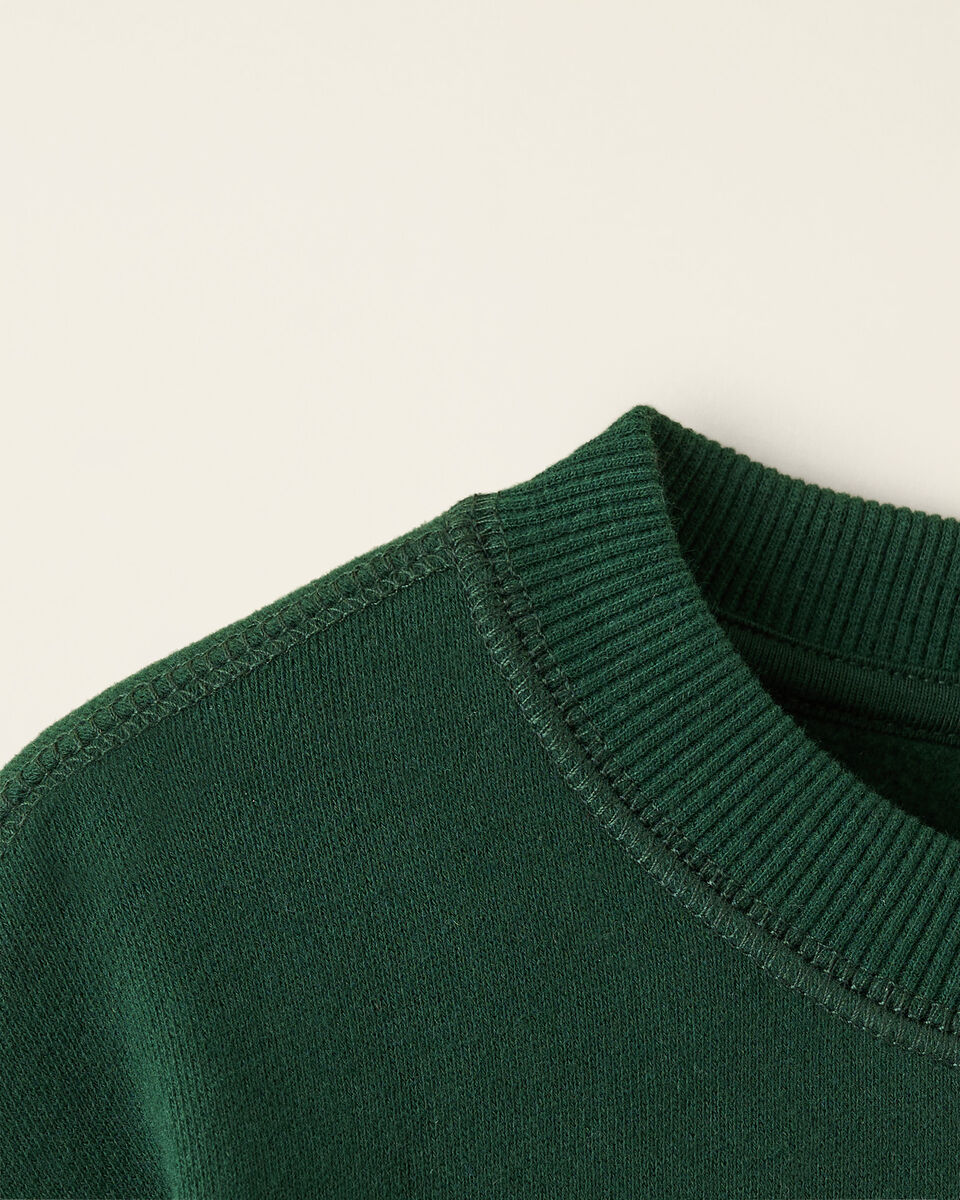 Toddler Sporting Goods Relaxed Crew Sweatshirt