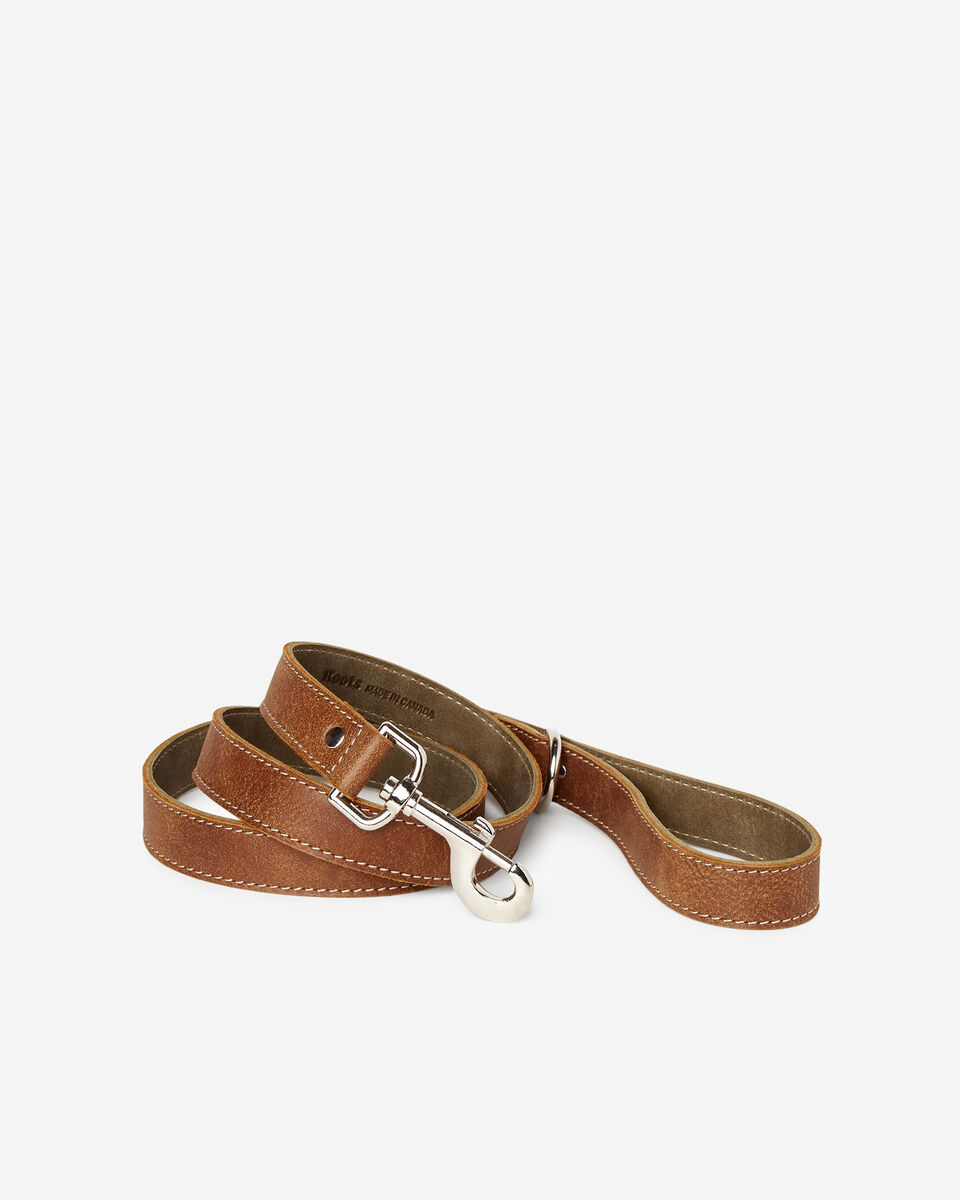 Leather Dog Leash