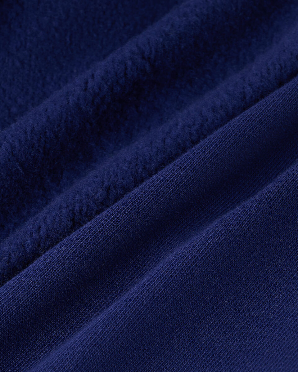 Chandail à capuchon Roots X Wicked OZ