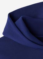 Chandail à capuchon Roots X Wicked OZ