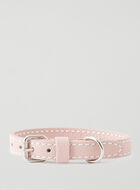 Extra Small Leather Dog Collar