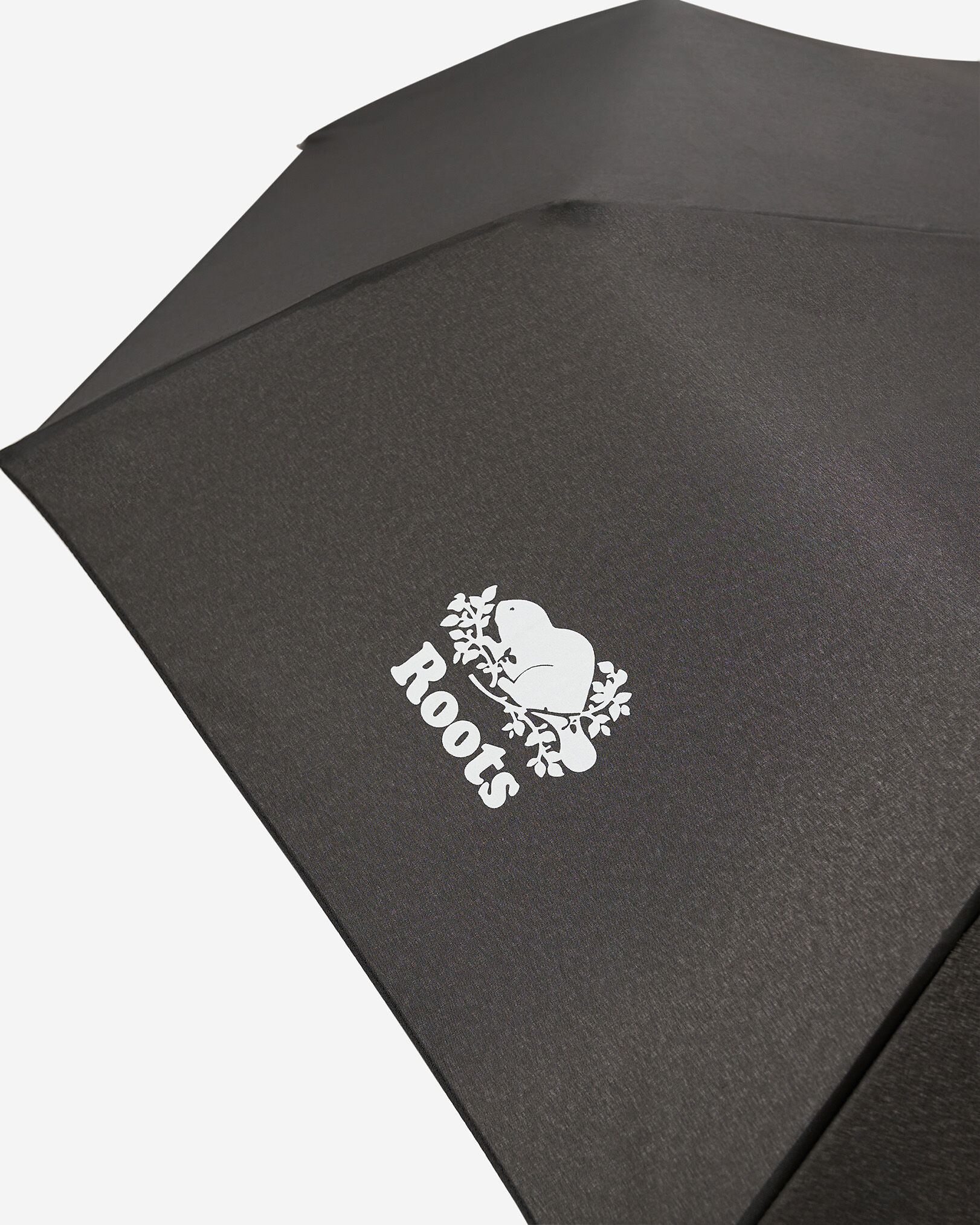 Roots Umbrella