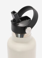 Roots Water Bottle