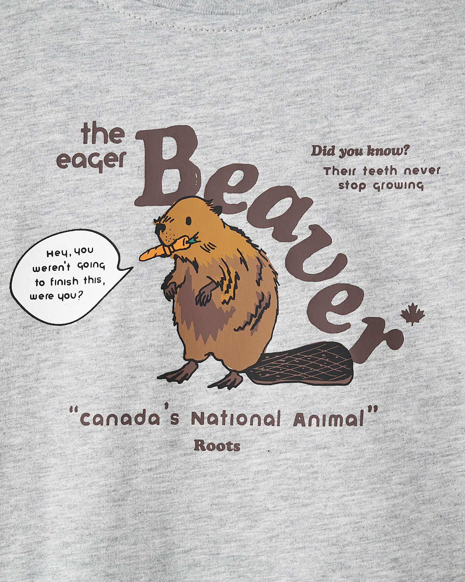 Toddler Animal Facts Graphic T-Shirt