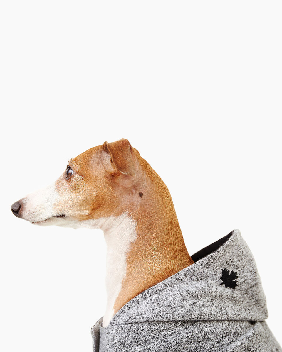 Pooch Salt and Pepper Hoody Size 14