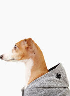 Pooch Salt and Pepper Hoody Size 14