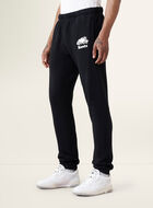 Organic Original Sweatpant Short (29 Inch Inseam)