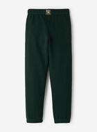 Kids Roots X Wicked Sweatpant