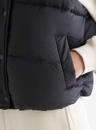 Roots Down Puffer Vest