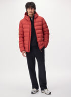 Roots Down Packable Jacket