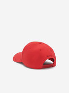 Modern Leaf Baseball Cap
