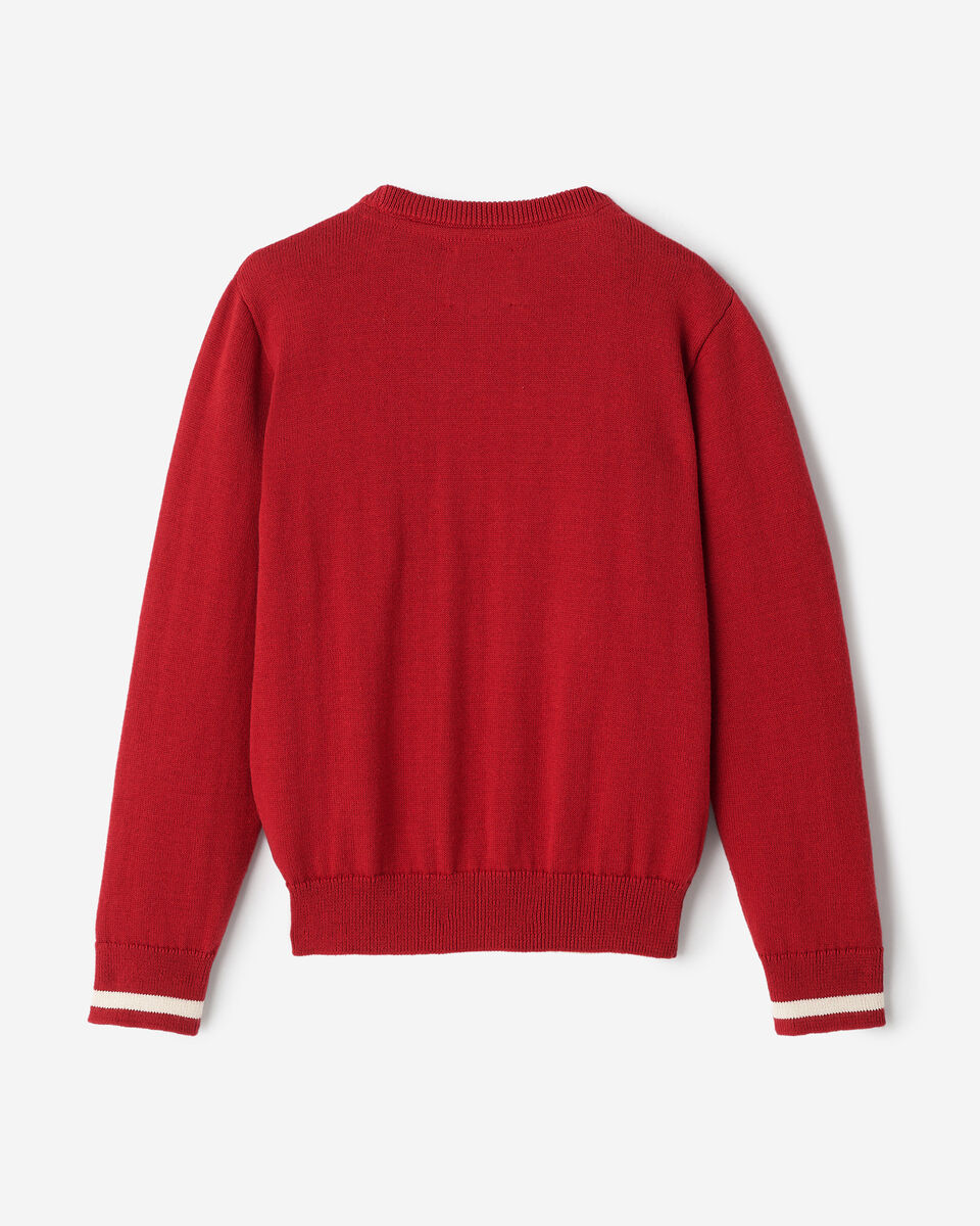 Kids Cabin Dog Sweater