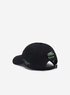 Roots X La Banquise Cap
