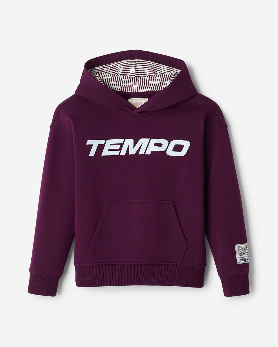 Kids Roots Toronto Tempo Hoodie