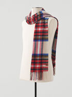 Plaid Scarf