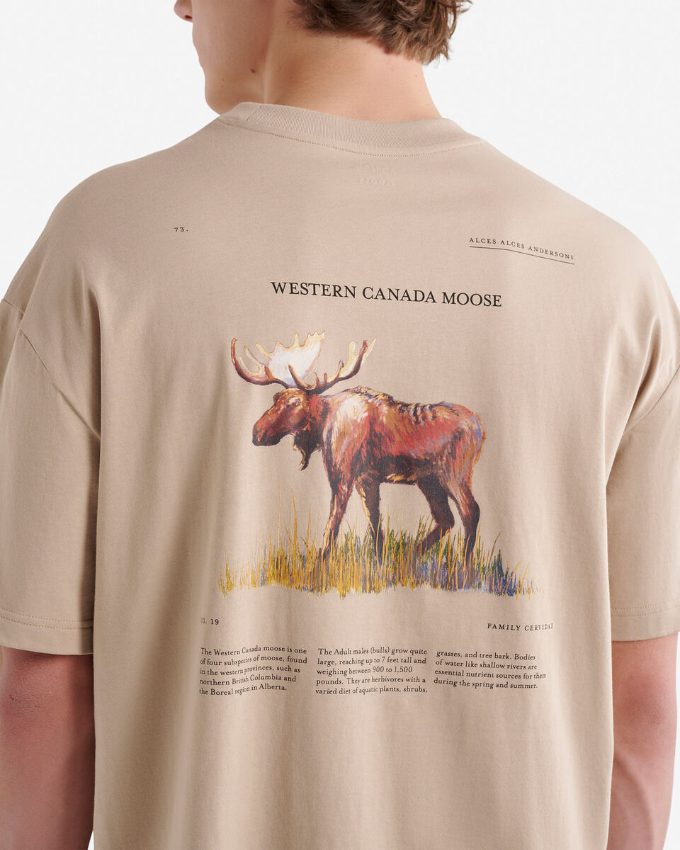 T-shirt Into The Wild pour hommes