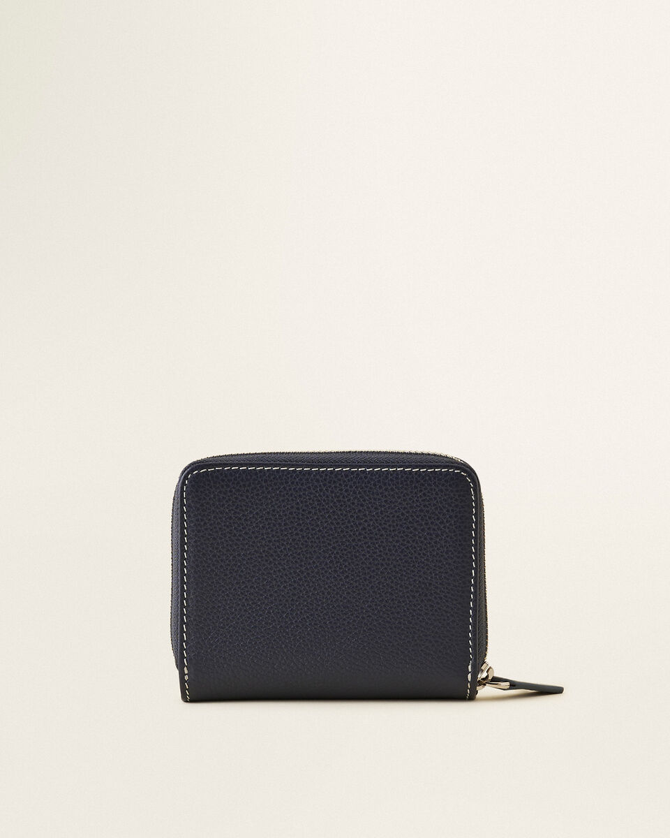 Small Zip Around Clutch Cervino