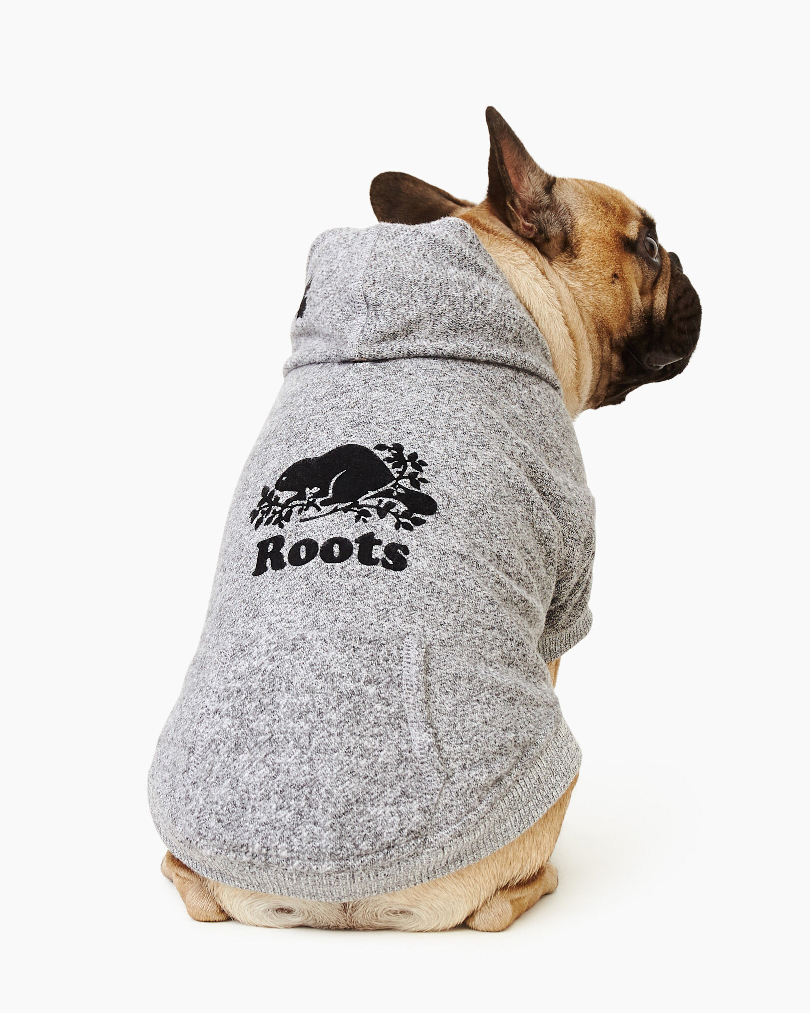 Roots sales dog clothes